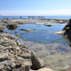 Illustration for article titled Pics from the (Ocean Floor): 2018-05-05 at Botanical Beach